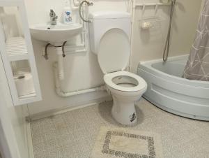 a small bathroom with a toilet and a sink at Smještaj Dada in Trebinje