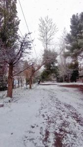 a snow covered road with trees on the side at El Torreón Lodge in Potrerillos