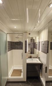 a bathroom with a shower and a sink at Appartement avec balcon proche Paris & Disneyland in Champigny-sur-Marne