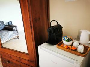 una borsa seduta sopra un frigorifero di Dolce Farnetta en-Suite Spa & Yoga a Montecastrilli
