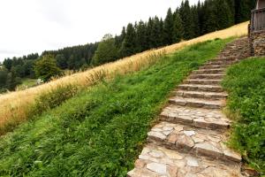 Przyroda w pobliżu tego apartamentu
