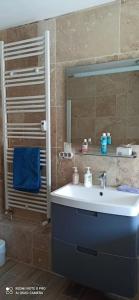 ein Bad mit einem Waschbecken und einem Spiegel in der Unterkunft Appartement de standing : 2 chambres in Raismes