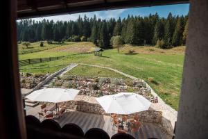 古拉哈莫卢洛伊Conacul Domnitei的相册照片