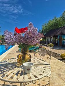Πισίνα στο ή κοντά στο Casa din Delta