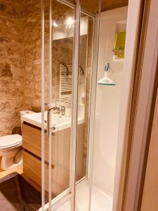 a bathroom with a shower with a sink and a toilet at Le Mas des Papillons in Fargues +91 photos