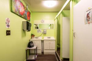 a bathroom with green walls and a sink and a mirror at Blue River Cabins & Campgrounds in Blue River