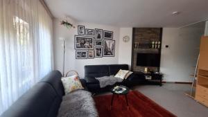 uma sala de estar com um sofá e uma televisão em Ferienwohnung Sophie em Winterberg