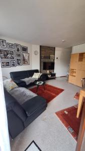 uma sala de estar com um sofá e uma lareira em Ferienwohnung Sophie em Winterberg