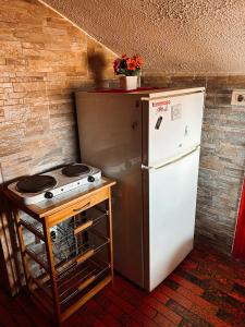 una piccola cucina con piano cottura e frigorifero di CASA VACANZA LA MANSARDINA a Pavia