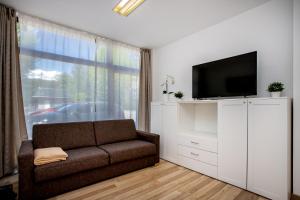Il comprend un salon doté d'un canapé et d'une télévision à écran plat. dans l'établissement Wolfgangthal Apartments in Bad Ischl City Center am TRAUNKAi, à Bad Ischl