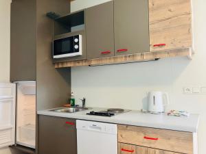 Kuchyňa alebo kuchynka v ubytovaní Polzer CAMPING BÜKFÜRDŐ
