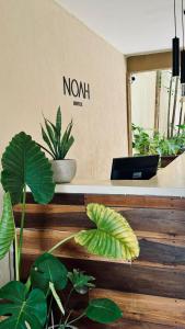 a counter with plants in front of a noah sign at Hotel Noah Tulum in Tulum