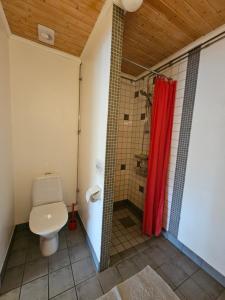 łazienka z toaletą i czerwoną zasłoną prysznicową w obiekcie Kilesandsgården w mieście Sydkoster