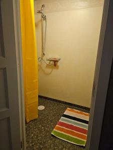 łazienka z prysznicem i kolorowym dywanem na podłodze w obiekcie Kilesandsgården w mieście Sydkoster