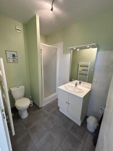 ein Badezimmer mit einem Waschbecken, einem WC und einem Spiegel in der Unterkunft Le Domaine des Aguins in Saujon