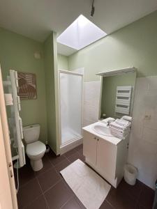 ein Bad mit einem WC und einem Waschbecken in der Unterkunft Le Domaine des Aguins in Saujon