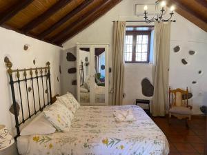 ein Schlafzimmer mit einem großen Bett und einem Spiegel in der Unterkunft La casa vieja de la Montaña in Santa Lucía