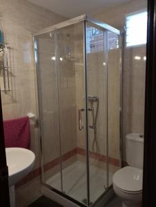 a bathroom with a shower and a toilet and a sink at Casa Lomas in Arcos de la Frontera