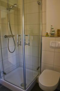 bagno con doccia in vetro e servizi igienici di Ferienhaus Strandmuschel am Ostseestrand Zierow a Zierow