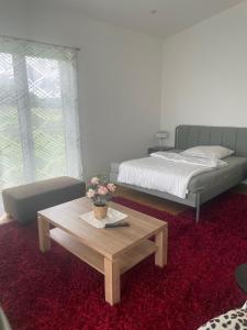 Schöne Deluxe Unterkunft في غوتمادينغين: غرفة معيشة مع سرير وطاولة قهوة