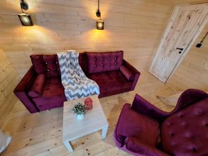 vistas panorámicas a una sala de estar con sofá y mesa en Dolina Narie, en Bogaczewo
