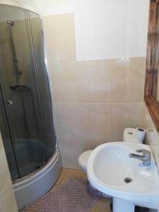 a bathroom with a shower and a toilet and a sink at Pokoje Augustowskie in Augustów