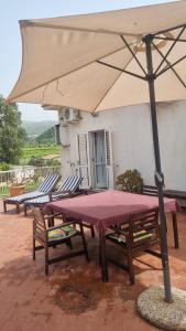 a table and chairs with an umbrella on a patio at Villa Elvira Country House in Belvedere Marittimo