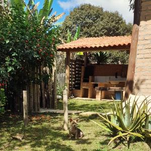 un petit chien assis dans l'herbe dans une cour dans l'établissement Recanto das Flores, à São Thomé das Letras