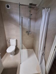 La salle de bains est pourvue de toilettes et d'une douche en verre. dans l'établissement Grand appartement lumineux au cœur de Thonon, à Thonon-les-Bains