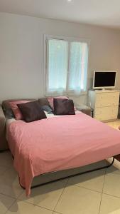 ein Schlafzimmer mit einem großen Bett mit einer rosa Decke in der Unterkunft Studio indépendant calme pas loin du centre in Nîmes