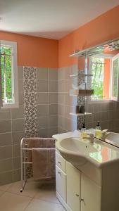 uma casa de banho com um lavatório e um espelho em Studio indépendant calme pas loin du centre em Nîmes
