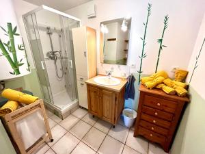 une salle de bain avec un lavabo, une douche et un miroir dans l'établissement Gîte Les Géraniums, à Pallud