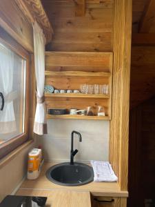 a kitchen with a sink in a tiny house at Apartmani 1490 in Žabljak