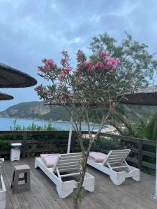 a tree with pink flowers sitting on a deck at Hamre Apartments (Nicholas) in Agios Georgios Pagon