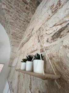 three plants on a shelf against a stone wall at Al Civico 33 in Martina Franca