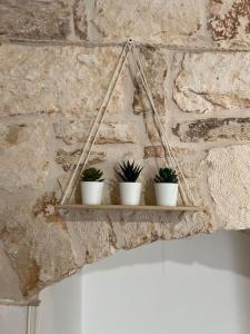 four plants on a shelf on a stone wall at Al Civico 33 in Martina Franca +7 photos