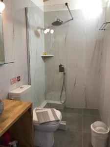 a bathroom with a shower and a toilet and a sink at Limani Studio in Lákka