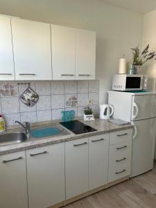 Kuchyň nebo kuchyňský kout v ubytování Apartments Marija