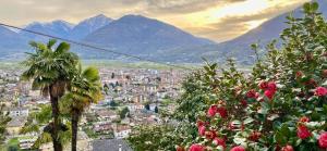 a city with flowers and mountains in the background at B&B Casa Moro in Domodossola