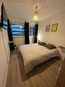 - une chambre avec un grand lit et une fenêtre dans l'établissement Grand appartement lumineux au cœur de Thonon, à Thonon-les-Bains