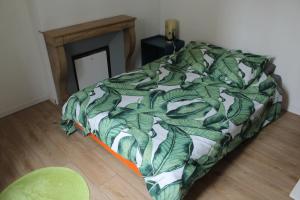 ブザンソンにあるAPPARTEMENT CENTRE HISTORIQUEの緑と白の毛布が掛けられたベッドのある寝室 +16枚の写真