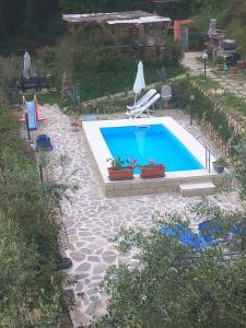 ein großer Pool in einem Hof mit Pflanzen in der Unterkunft Casa di sotto in Giratola