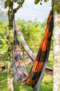 una hamaca colgando de un árbol en un parque en Glamping casal - mini chale mobiliado com colchão casal roupa de cama travesseiros - Rancho Perene estação rural en Jaraguá do Sul