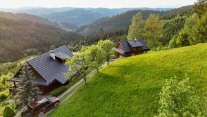Príroda v okolí horskej chaty