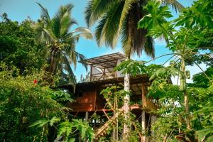 a tree house in the jungle at La tarima del colibri Ecolodge in El Valle