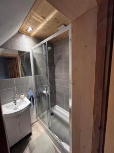 Koupelna v ubytování Chata Drapula - Gospodarstwo Agroturystyczne - Apartament na wyłączność z widokiem na góry i aneksem kuchennym + 42 fotografií