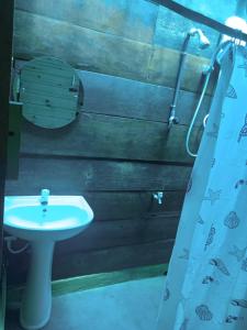ein Bad mit einem Waschbecken und einem Duschvorhang in der Unterkunft Silaa Cabana in Trincomalee