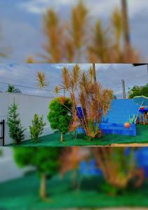twee foto's van bomen en een blauw gebouw bij Casa aconchego em Blumenau in Blumenau