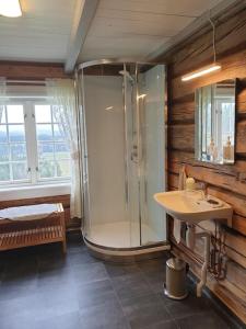 un bagno con doccia e lavandino di Newly renovated house on a farm a Berge