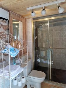 Koupelna v ubytování Festina Lente Heritage Villa Krk - Heated pool